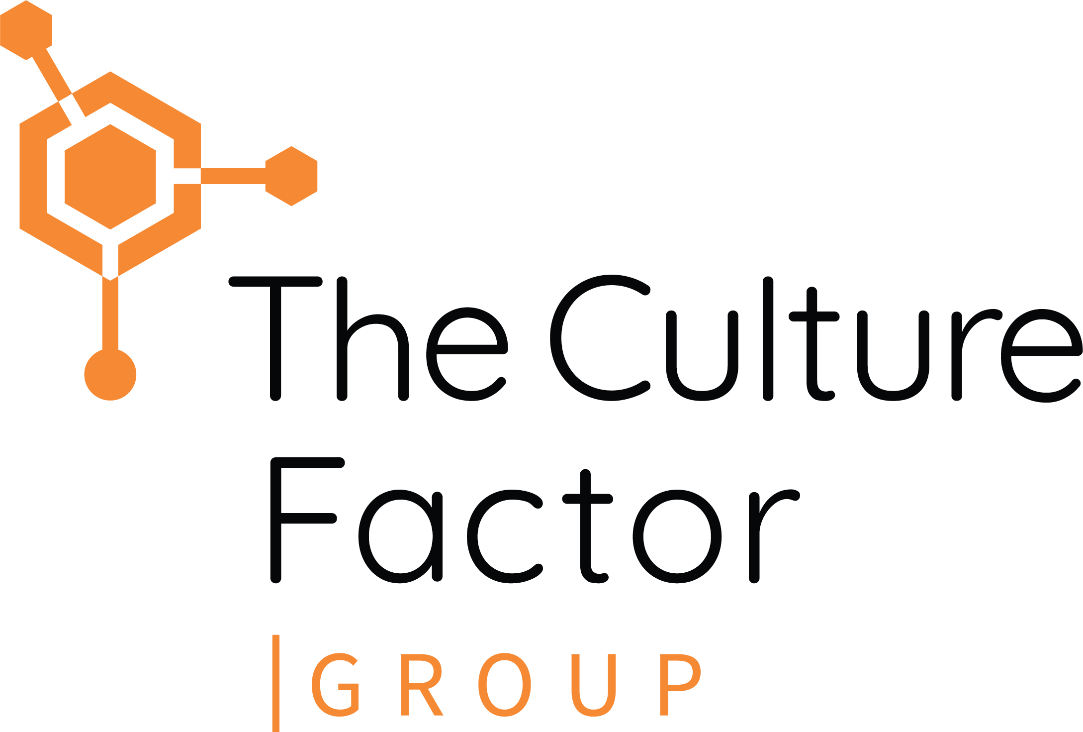 Logo - The Culture Factor - 2023-classic- 300